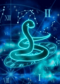 生肖蛇-水瓶座-