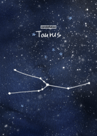 constellation_04_Taurus