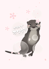 小水獺與櫻花