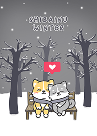 ShibaInu winter