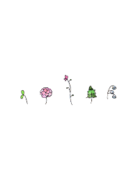 Small flowers1