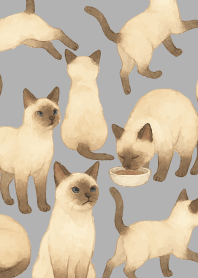 Siamese cat holiday05 white