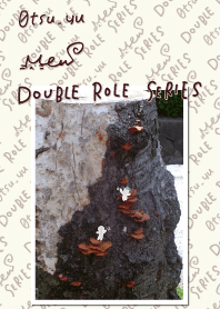 DOUBLE ROLE SERIES #40