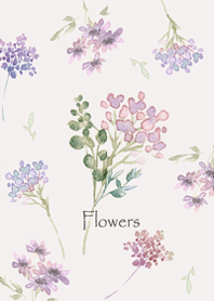 A flower that is kind to the heart3.