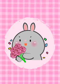 Simple  Rabbit and Pink Theme