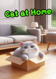 段ボール箱の中のもふもふ猫