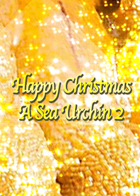 Happy Christmas A Sea Urchin 2