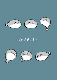 我養的薩卡班甲魚(湖水綠)