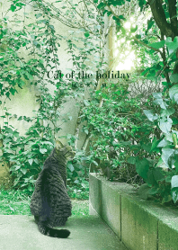 Cat of the holiday -GREEN- 14