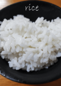 日本米飯