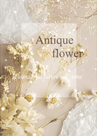 gentle antique dried flower.12.