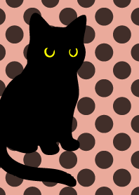 Round Black Cat6pink & blue