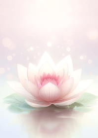 dreamy lotus