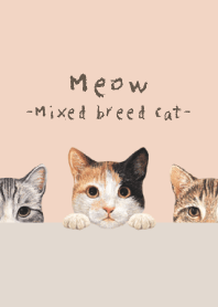 Meow - Mixed breed cat 01 - SHELL PINK