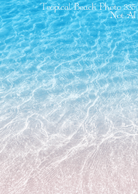 Tropical Beach Photo 335 Not AI