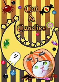 Clearly Cat & Candies