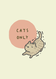 cats only