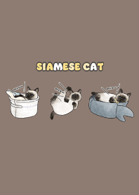 siamesecats5 - brown