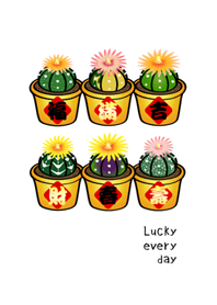 ต้นไม้กระถางนำโชค(สีขาวบริสุทธิ์)