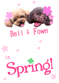 Bell&Fown in Spring!