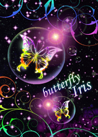 butterfly iris