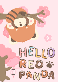 Hello Red Panda | Pink Sakura
