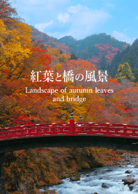 Landscape of autumn leaves and bridge