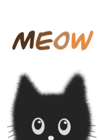 Meow : black cat