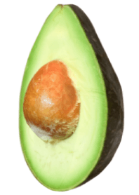 avocado 7