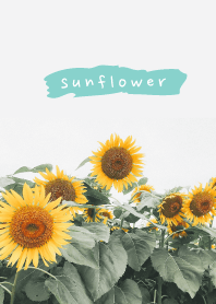sunflower_02