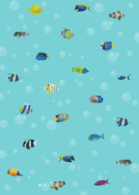 โลกใต้น้ำหลากสีสัน5