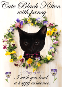 Cute Black Kitten with pansy