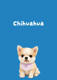 I love Chihuahuas02 blue JP