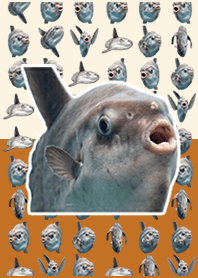 Ação ao vivo de peixe-lua Pop Brown
