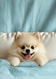 楽しいキルト-ポメラニアン1.2