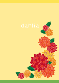 autumn dahlia on yellow