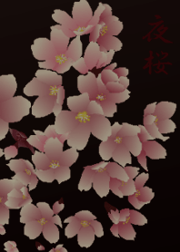 Night cherry blossom