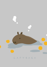 Warm Capybara