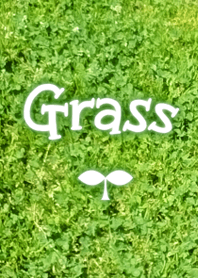 Grass