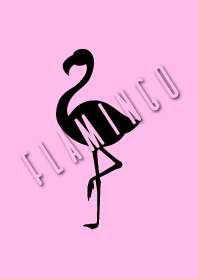 Adult flamingo.