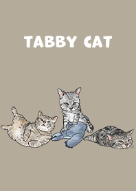 tabbycat5 - khaki