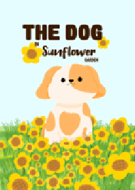 The dog in sunflower garden