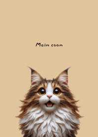 your main coon