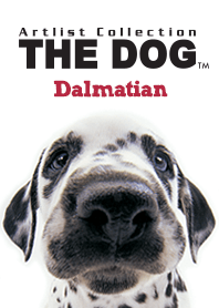 THE DOG ダルメシアン