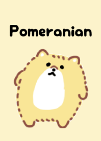 Cute Pomeranian Theme 3