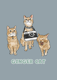 gingercat2 / dusty blue