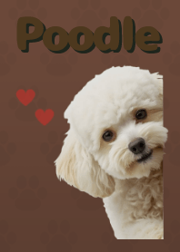 ธีมพุดเดิ้ลทอย Brown 02