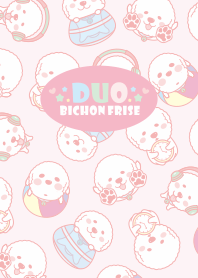 比熊犬DUO