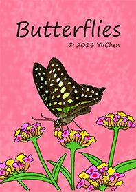 Butterflies & Caterpillar 2