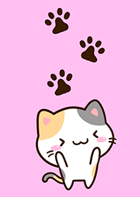 Small Cute Calico cat